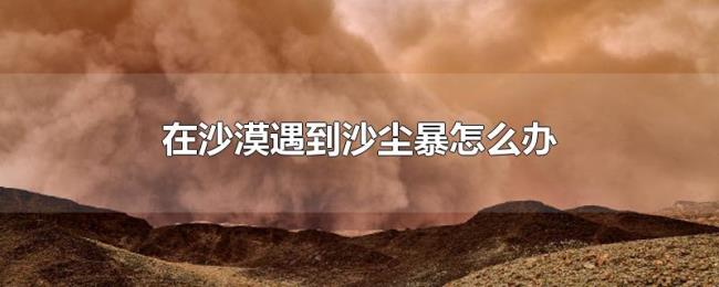 在沙漠遇到沙尘暴怎么办
