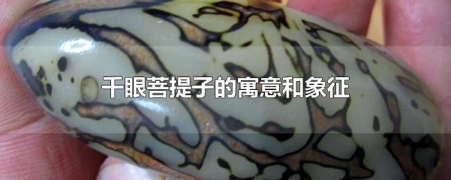 千眼菩提子的寓意和象征