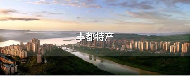 丰都特产