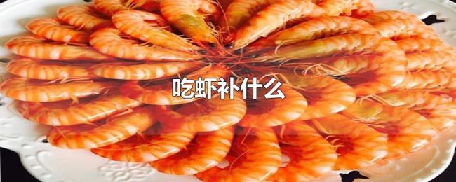 吃虾补什么 吃虾补什么