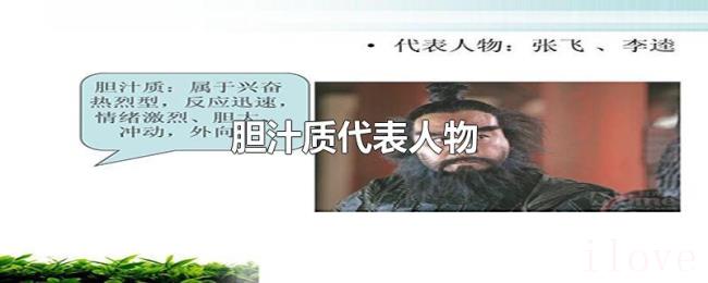 胆汁质代表人物