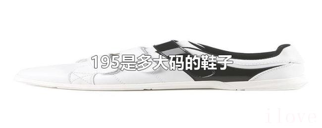 195是多大码的鞋子 195是多大码的鞋子