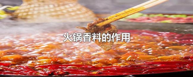 火锅底料配方都有哪些香料