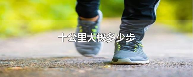 十公里大概多少步 十公里大概多少步