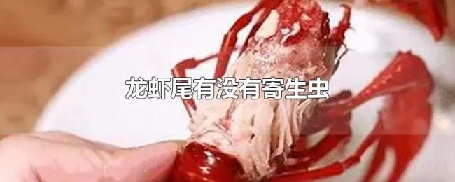 龙虾尾有没有寄生虫 龙虾尾有没有寄生虫