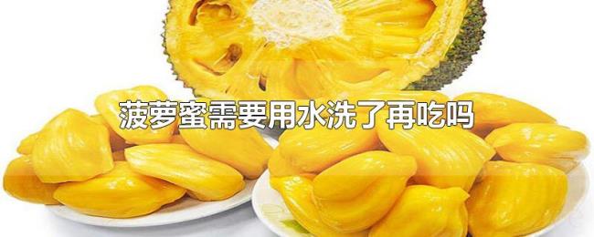 菠萝蜜需要用水洗了再吃吗 菠萝蜜需要用水洗了再吃吗