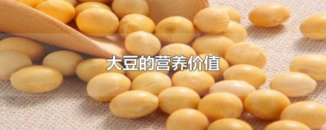 大豆的营养价值 大豆的营养价值