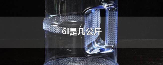 6l是几公斤 6l是几公斤