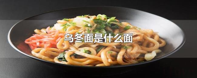 乌冬面是什么面 乌冬面是什么面