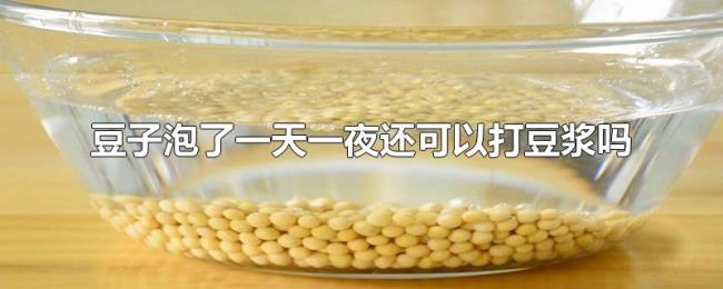 豆子泡了一天一夜还可以打豆浆吗 豆子泡了一天一夜还可以打豆浆吗