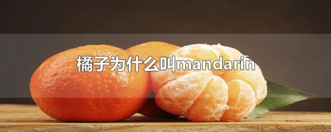 橘子为什么叫mandarin 橘子为什么叫mandarin