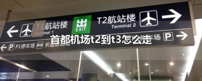 首都机场t2到t3怎么走 首都机场t2到t3怎么走