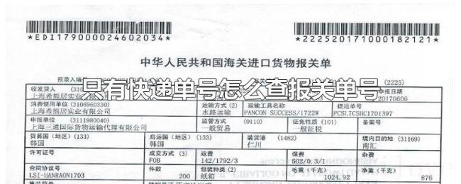 只有快递单号怎么查报关单号