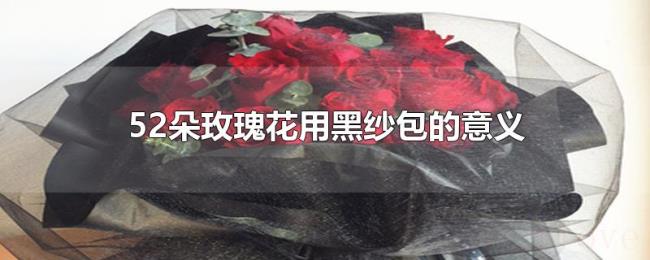 52朵玫瑰花用黑纱包的意义 52朵玫瑰花用黑纱包的意义
