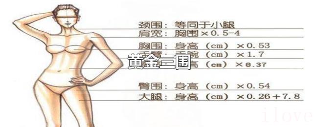 黄金三围 黄金三围