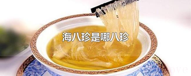 海八珍是哪八珍 海八珍是哪八珍