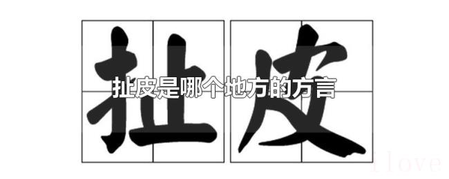 扯皮是哪个地方的方言