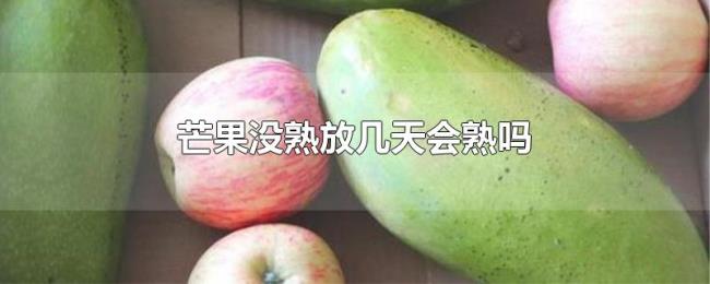 芒果没熟放几天会熟吗 芒果没熟放几天会熟吗