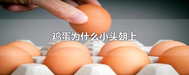 鸡蛋为什么小头朝上