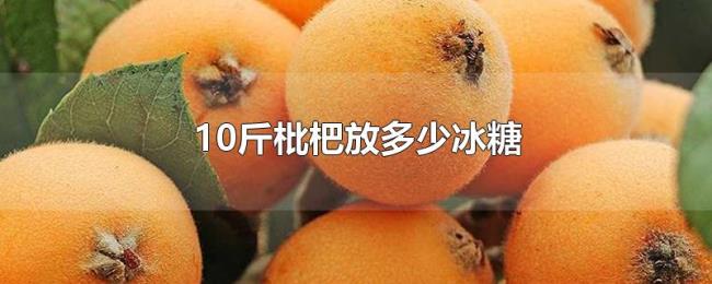10斤枇杷放多少冰糖