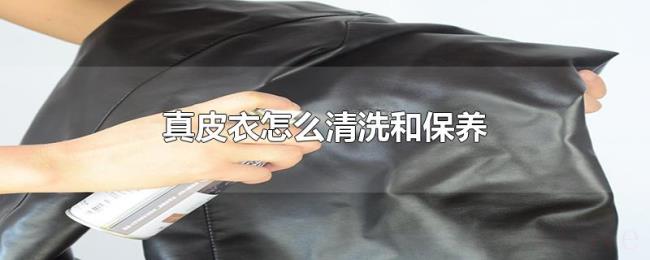 真皮衣怎么清洗和保养 真皮衣怎么清洗和保养