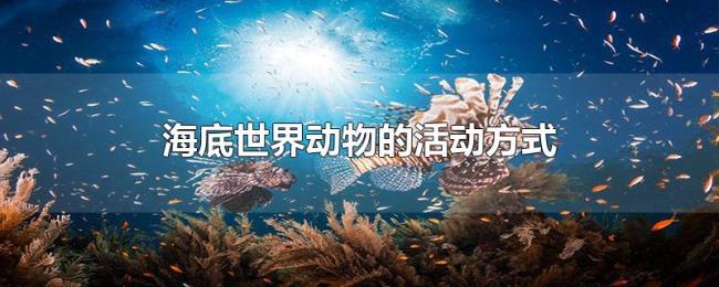 海底世界动物的活动方式