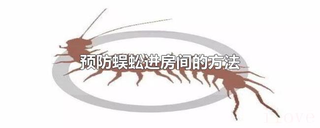 预防蜈蚣进房间的方法