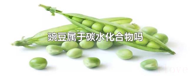 豌豆属于碳水化合物吗