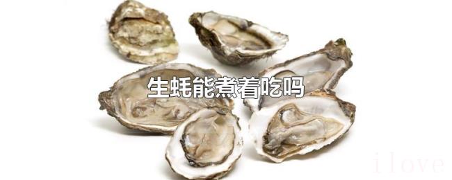 生蚝能煮着吃吗 生蚝能煮着吃吗