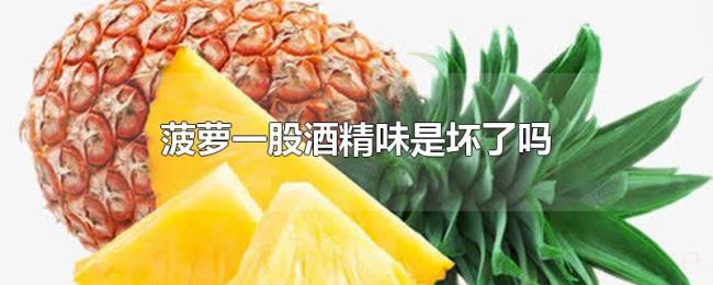 菠萝一股酒精味是坏了吗 菠萝一股酒精味是坏了吗