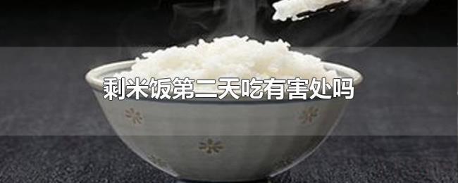 剩米饭第二天吃有害处吗