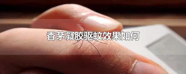 香茅凝胶驱蚊效果如何 香茅凝胶驱蚊效果如何