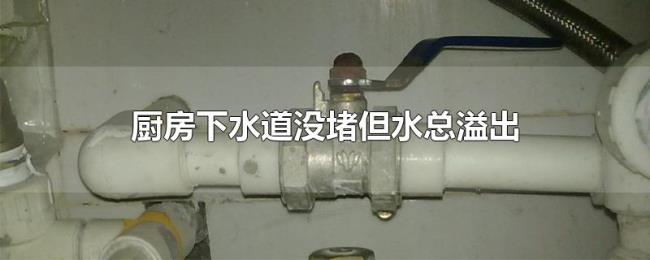 厨房下水道没堵但水总溢出