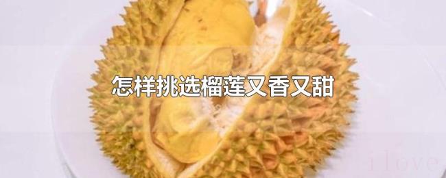怎样挑选榴莲又香又甜 怎样挑选榴莲又香又甜
