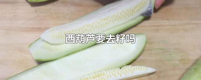 西葫芦要去籽吗 西葫芦要去籽吗