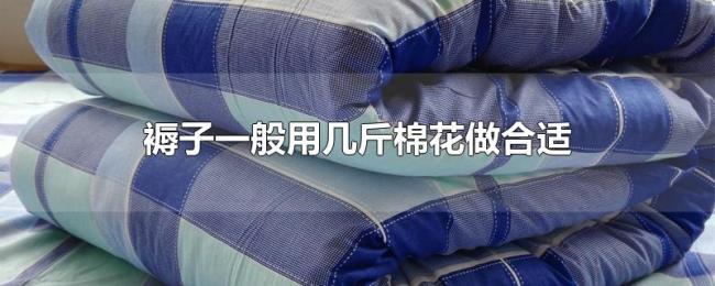 褥子一般用几斤棉花做合适