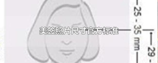 美签照片尺寸官方标准