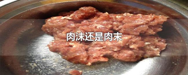 肉沫还是肉末 肉沫还是肉末