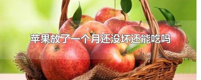 苹果放了一个月还没坏还能吃吗