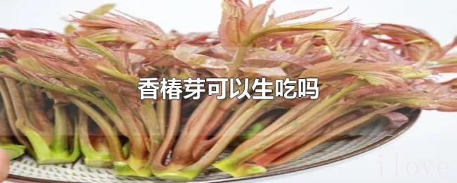 香椿芽可以生吃吗