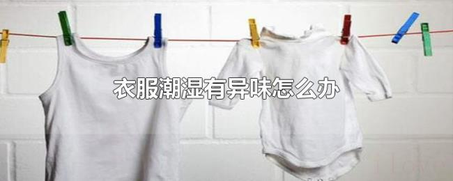 衣服潮湿有异味怎么办