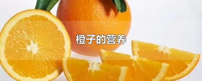 橙子的营养 橙子的营养