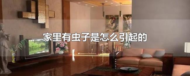 家里有虫子是怎么引起的 家里有虫子是怎么引起的