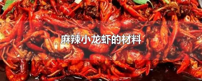 麻辣小龙虾的材料 麻辣小龙虾的材料