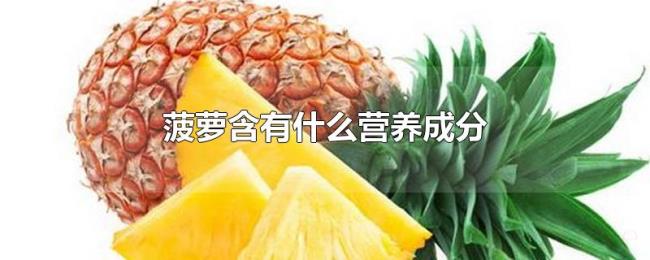 菠萝含有什么营养成分 菠萝含有什么营养成分