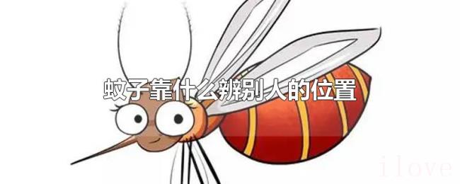 蚊子靠什么辨别人的位置 蚊子靠什么辨别人的位置