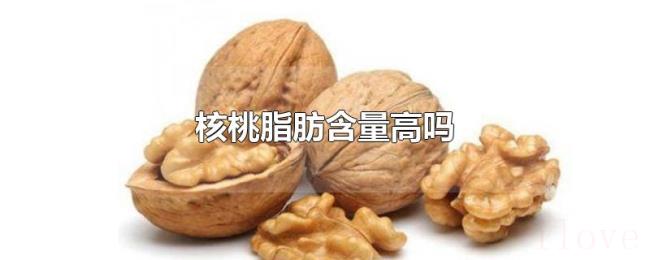 核桃脂肪含量高吗