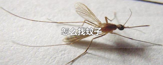 怎么找蚊子