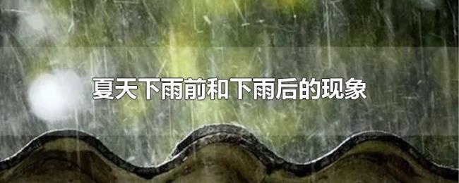 夏天下雨前和下雨后的现象 夏天下雨前和下雨后的现象