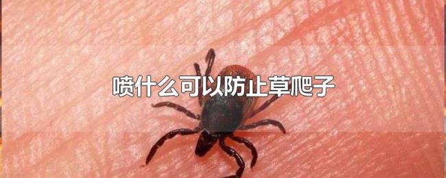 喷什么可以防止草爬子 喷什么可以防止草爬子